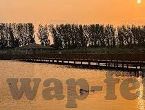 宁夏足球比分网-探秘宁夏足球比分网，绿茵场上的数据宝藏库