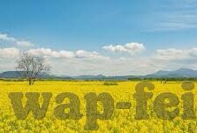 足球胜负14比分直播-深度剖析，足球胜负14比分直播背后的竞技魅力与数据奥秘